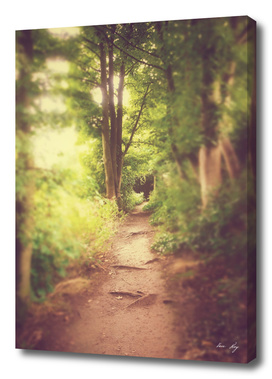 The Path Home