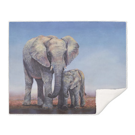 Elephants Mom Baby