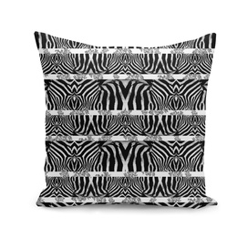 Zebra Stripe Pattern