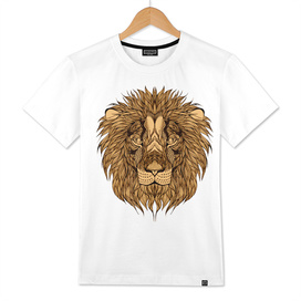 Lion's Head a