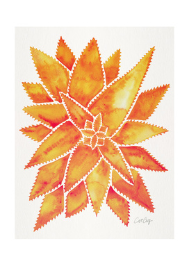 Orange-AloeVera-artprint