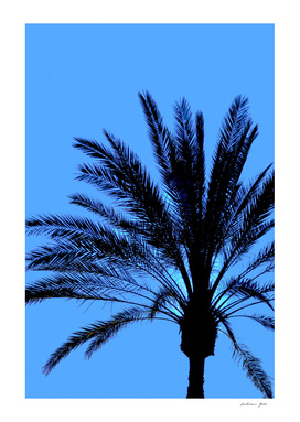 Bright Blue Palm