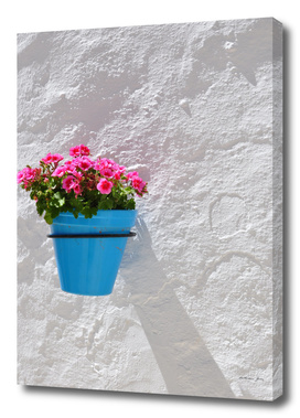Pink Geraniums in Blue Pot on White Wall