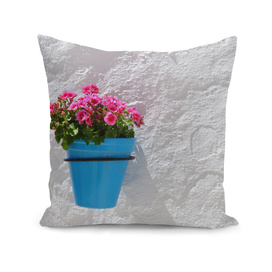 Pink Geraniums in Blue Pot on White Wall