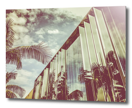 Beverly Hills - Palm Reflections III