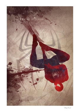 'The Amazing Spiderman'