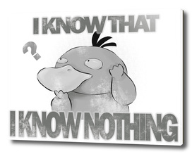 I know nothing
