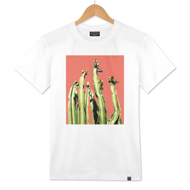 Cactus - red