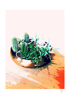 Cacti in a Copper Pot