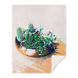 Cacti in a Copper Pot