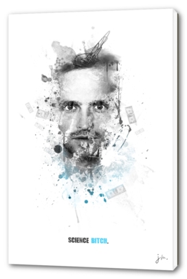 Shadow collection : Jesse Pinkman