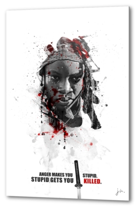 Shadow collection : Michonne