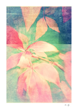 Autumn Pastels 03 - Faded Matte