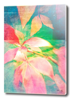 Autumn Pastels 02 - Matte