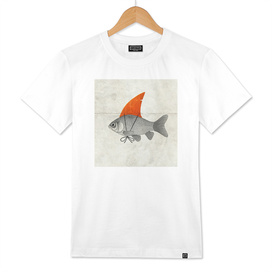 Goldfish with a Shark Fin