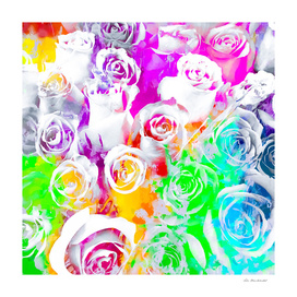 rose texture abstract  with colorful painting abstract