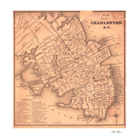 Vintage Map of Charleston South Carolina (1849)