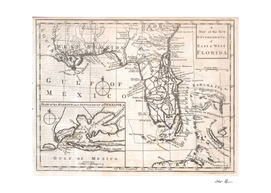 Vintage Map of Florida (1763)