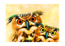 animal owl art