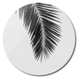 Palm Leaf I BW