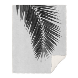Palm Leaf I BW