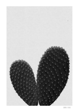 Heart Cactus BW