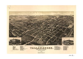 Vintage Pictorial Map of Tallahassee Florida (1885)