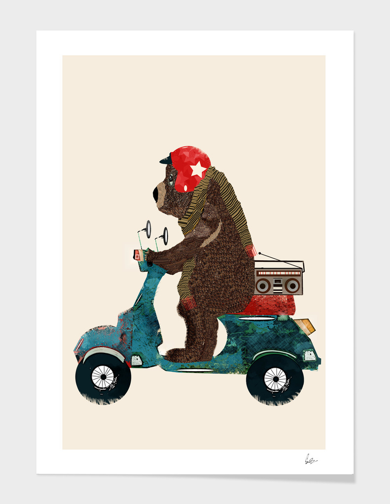 scooter bear