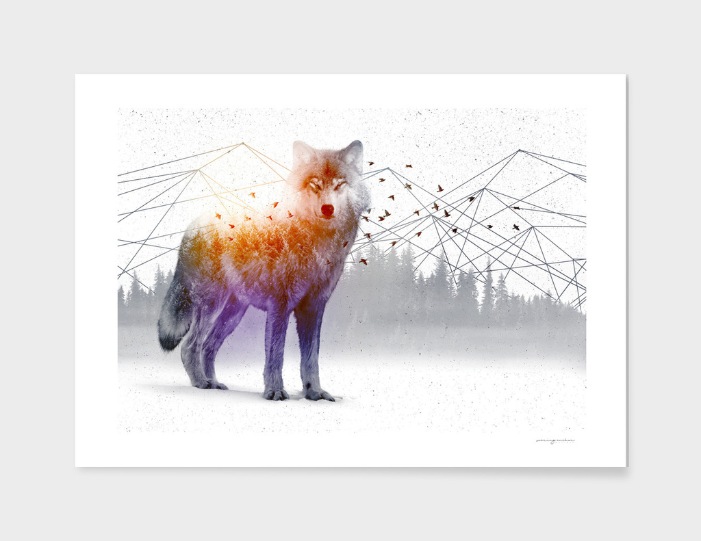 A WildernessWithin | Wolf