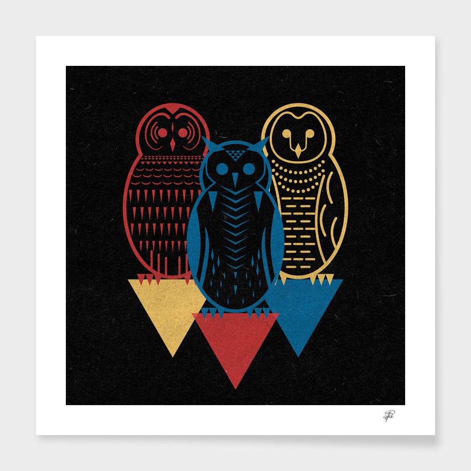 Three Owls at Night
