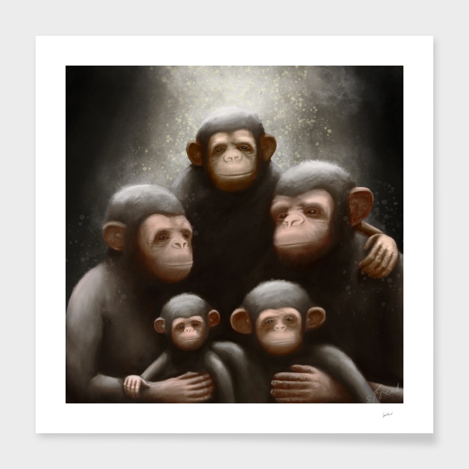 Monkey_family