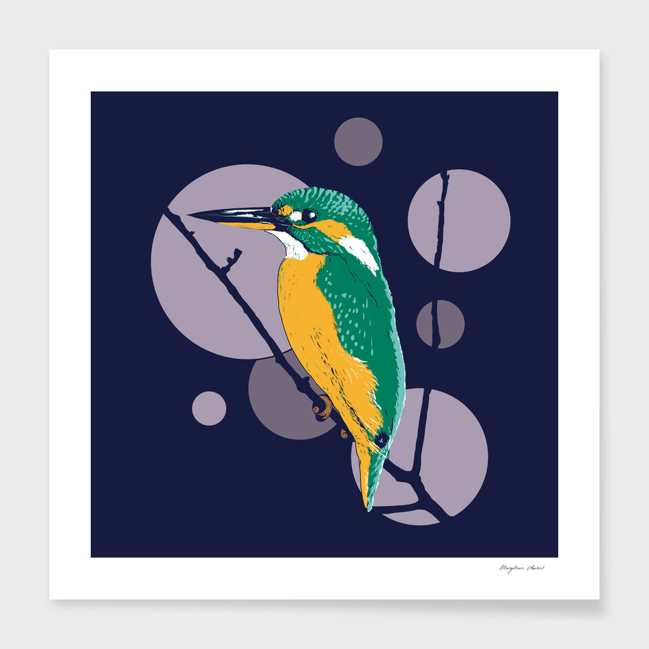 Kingfisher on a bough