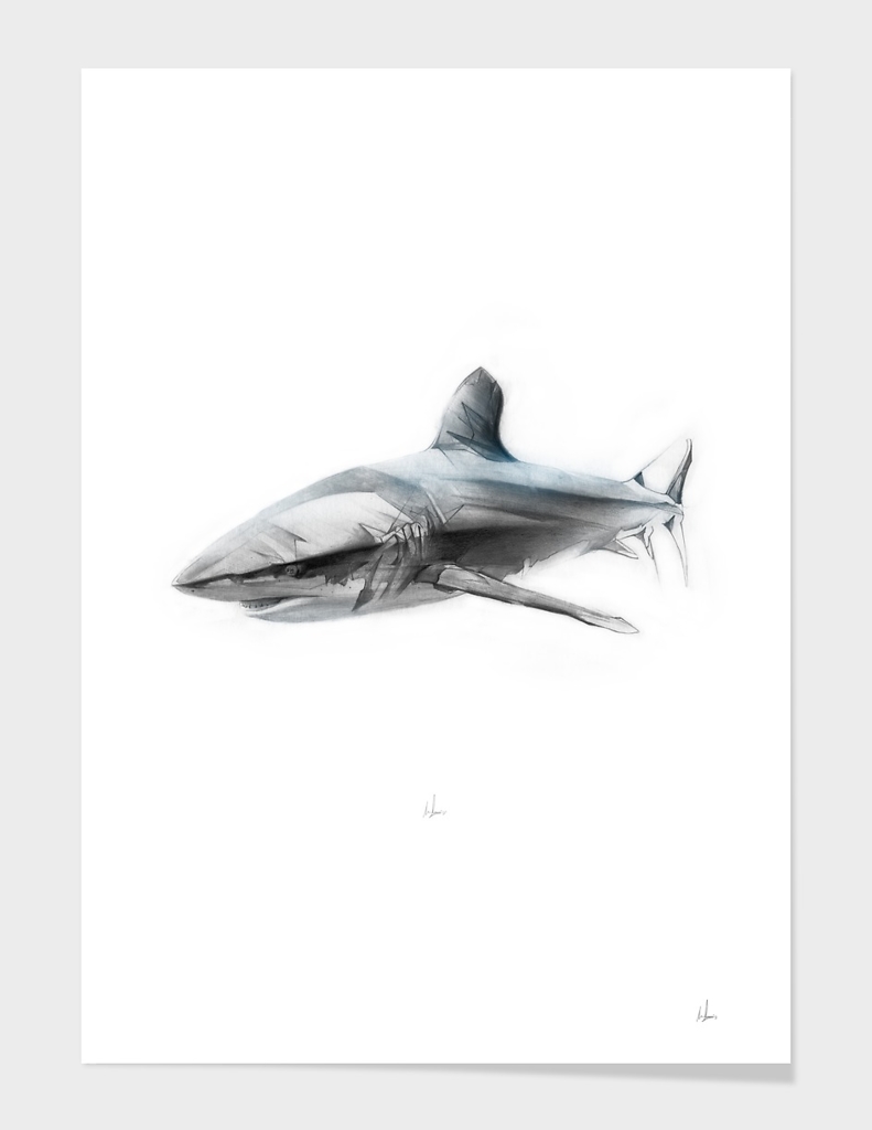 Shark I