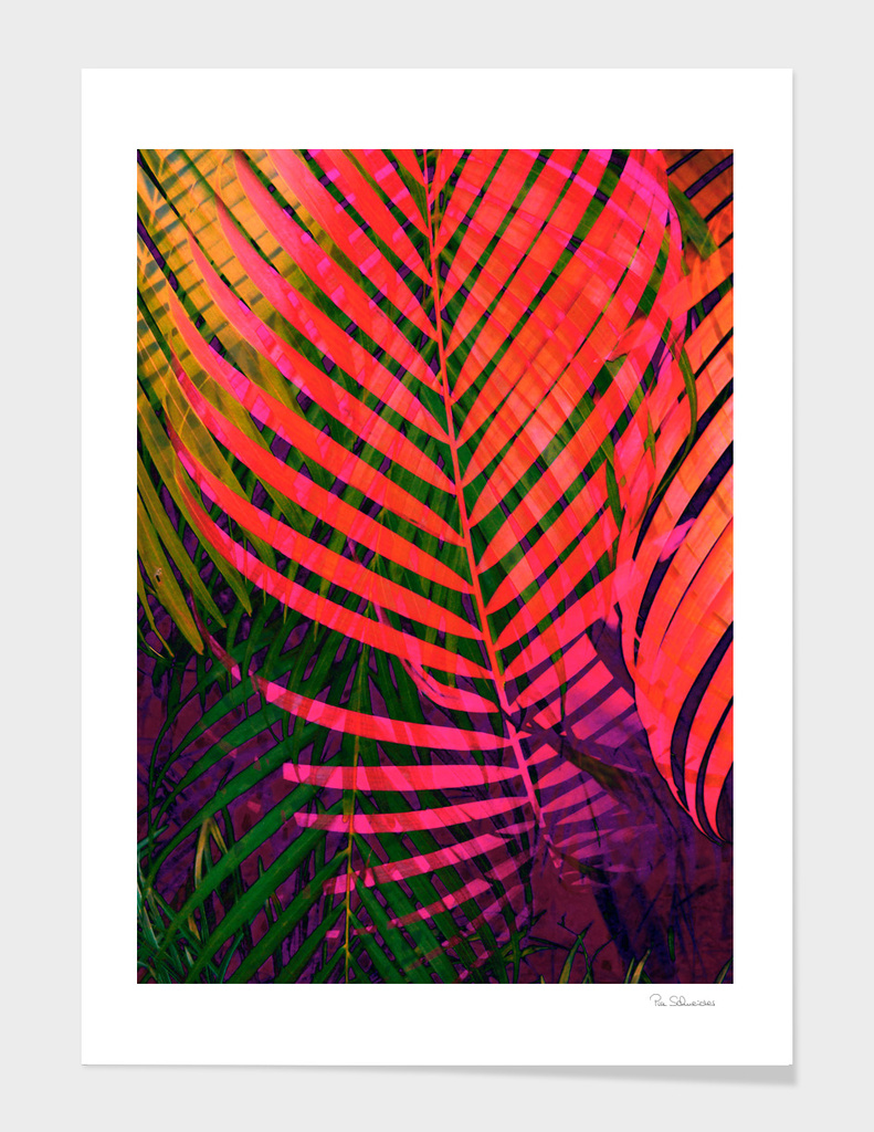 COLORFUL TROPICAL LEAVES no6