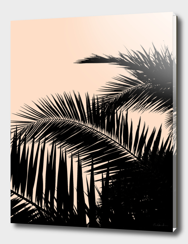 Palms Spring