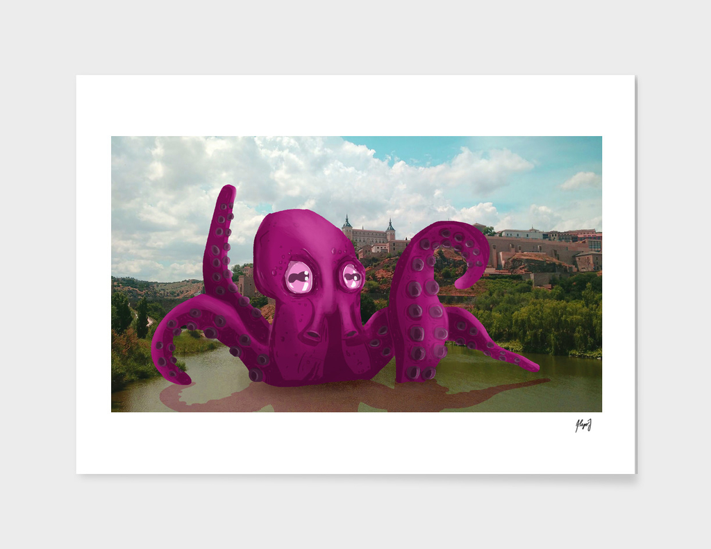 Octopus in Toledo