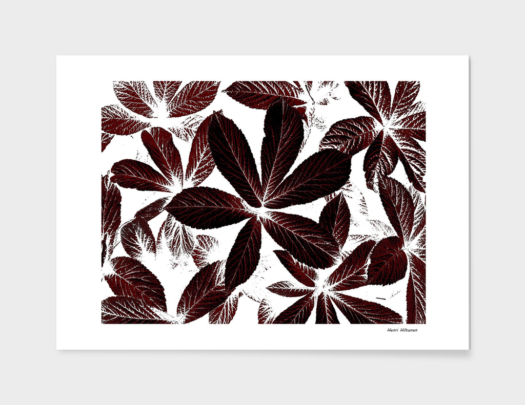 Leaves graphic 3
