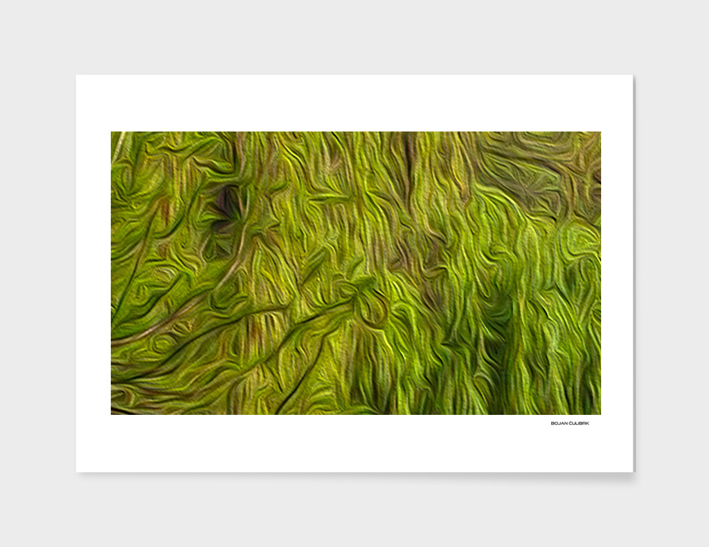 Green Abstraction (2)