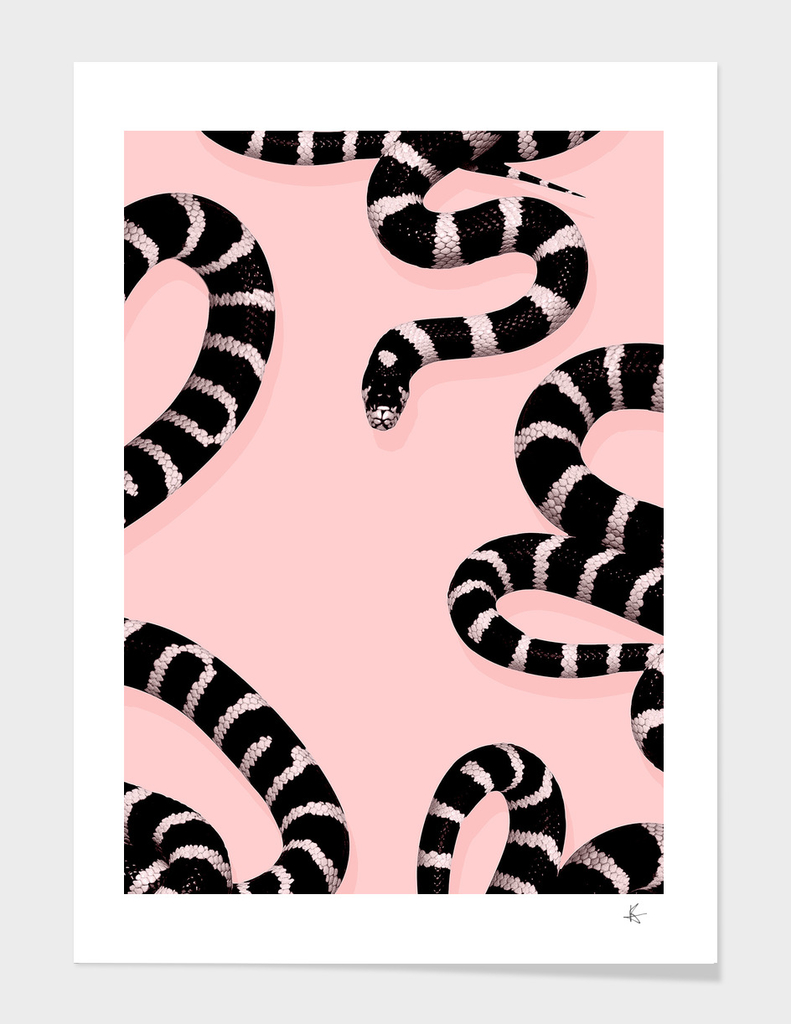 snake pink
