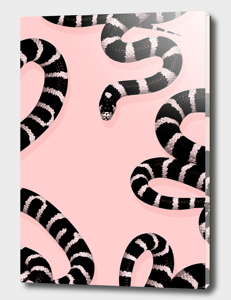 snake pink