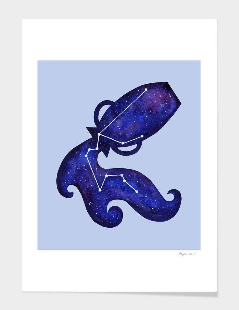 Astrological sign aquarius constellation