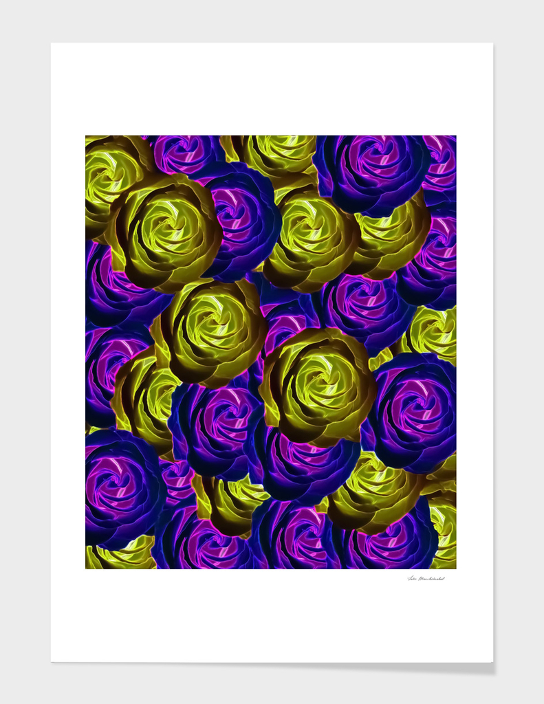blooming rose texture pattern abstract in purple and yellow