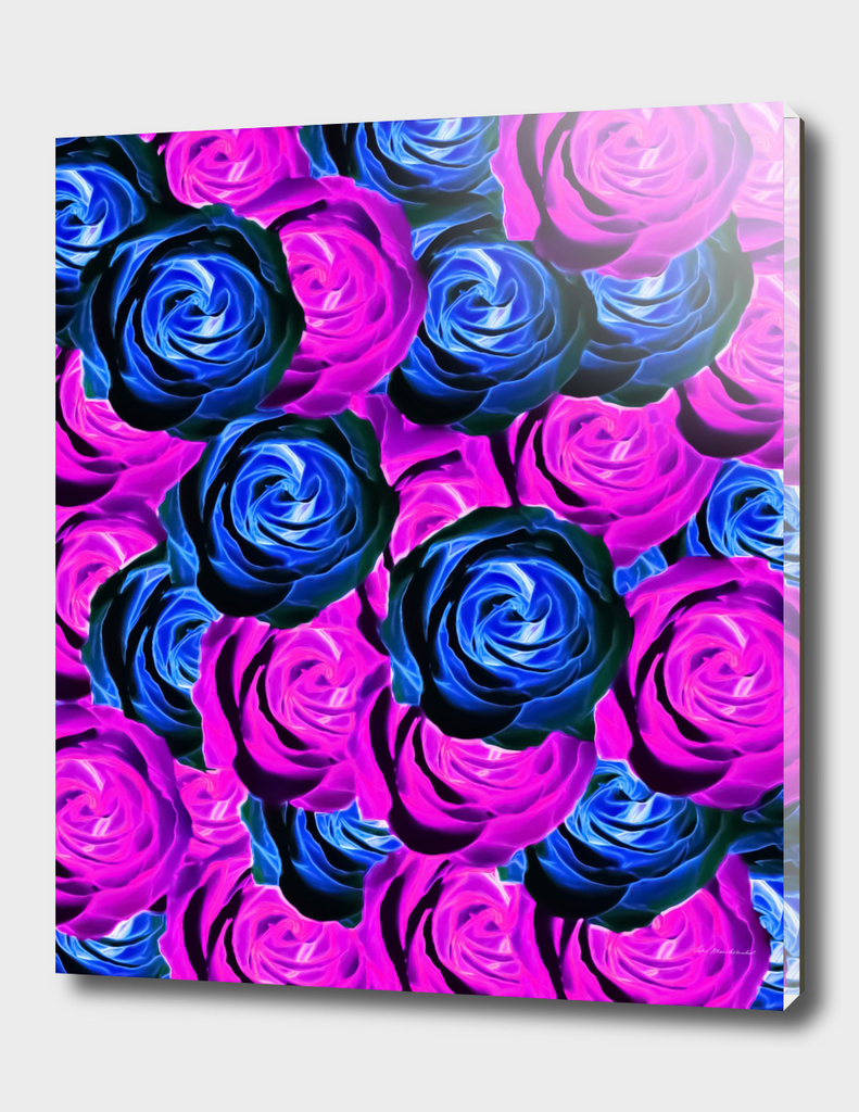 blooming rose texture pattern abstract in pink and blue