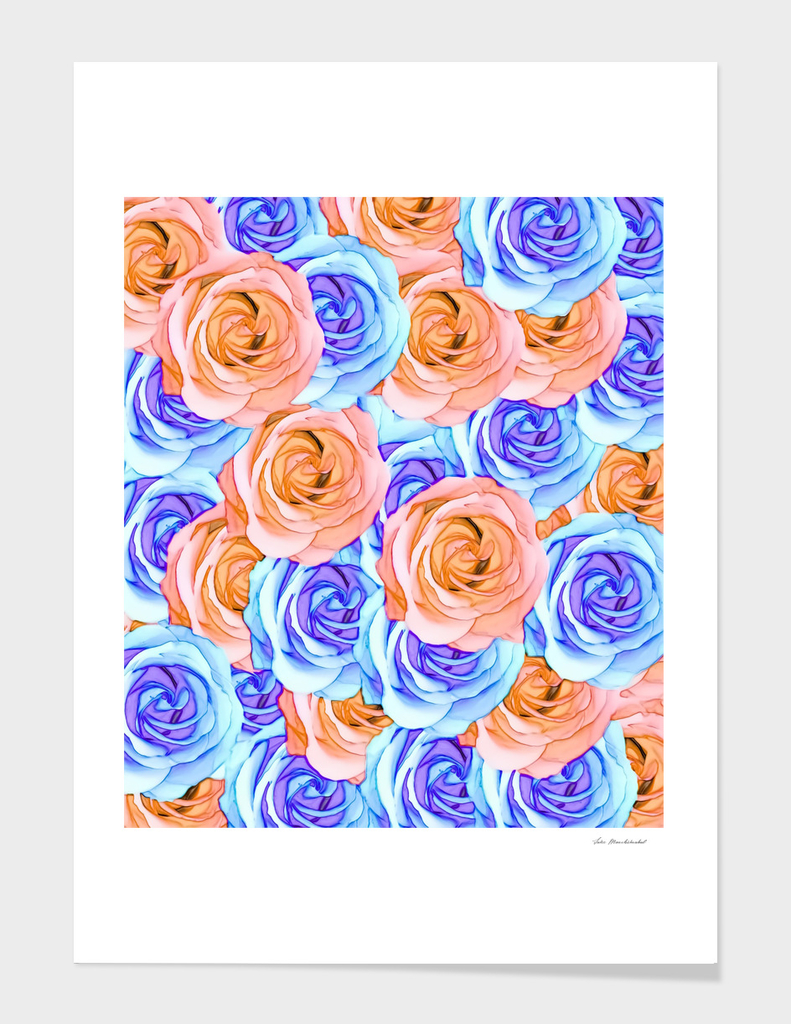 blooming rose pattern texture abstract in red and blue