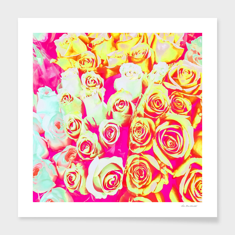 bouquet of pink rose pattern texture abstract background