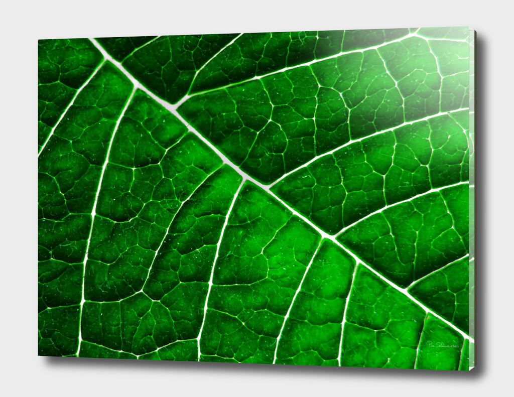 LEAF STRUCTURE GREENERY no3