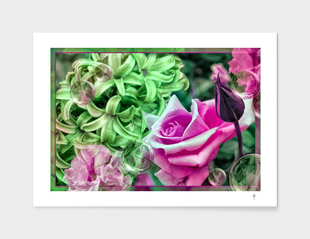 Roses And Hyacinths -  PINK GREEN