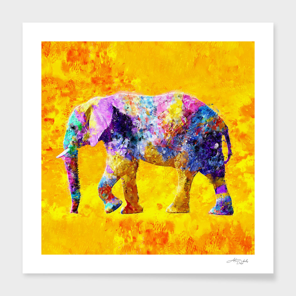 Elephant Colorful Design
