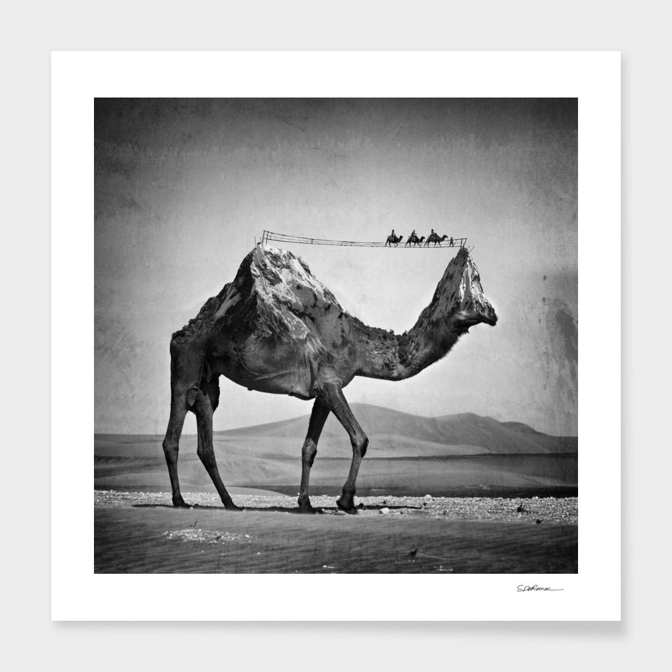 Camel Back