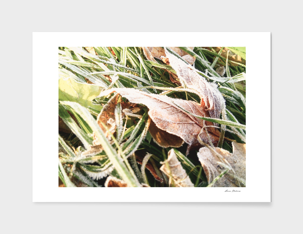 Winter Yellow Leaves Mobilestock